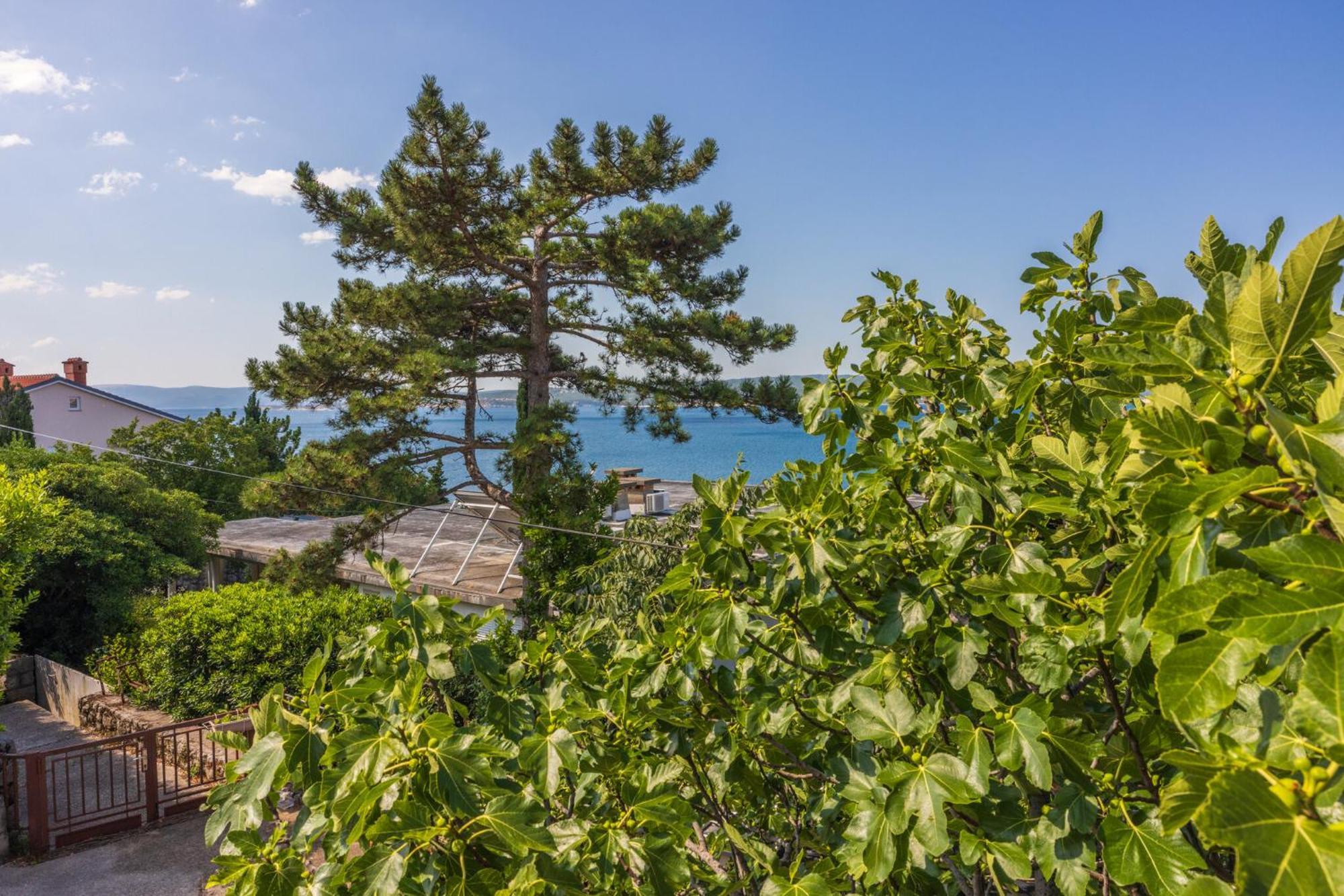 Apartmani Azur Dramalj Εξωτερικό φωτογραφία